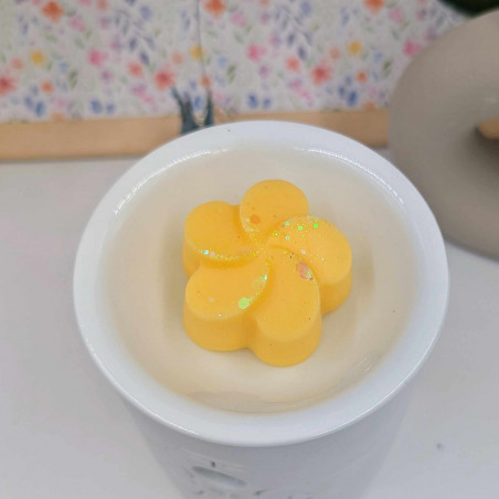 Fleur Mimosa