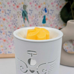 Fleur Mimosa