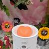 Coeur Fruits Tropicaux