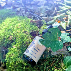 Elixir de Nuit d'Automne
