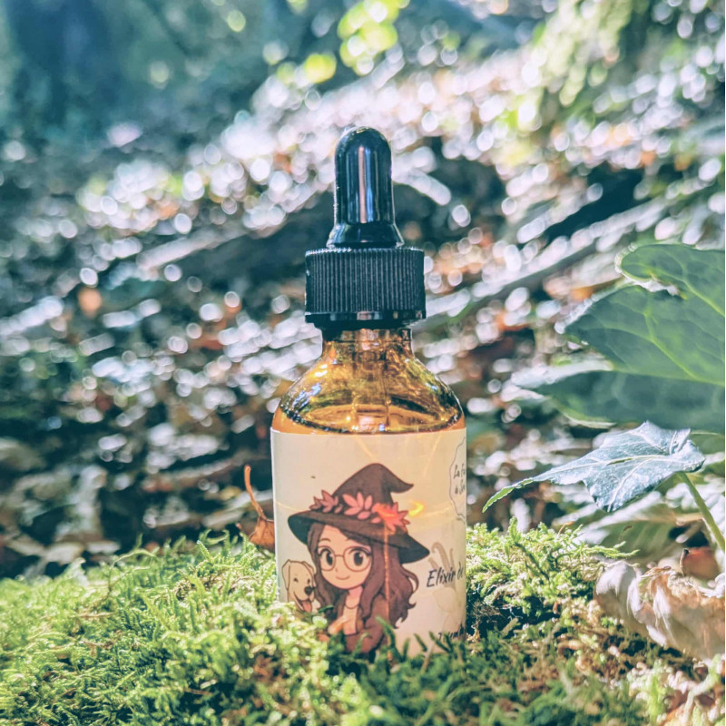 Elixir de Fidélité