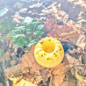 Kougelhopf Banane