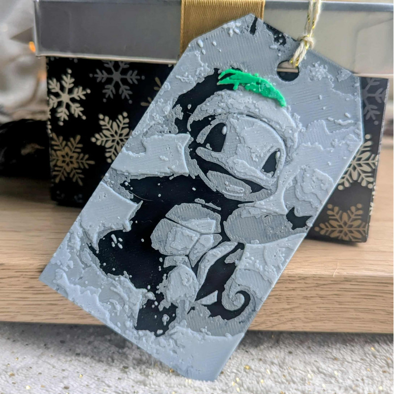 Étiquette Cadeau Carapuce