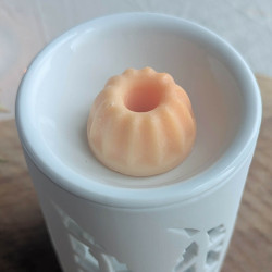 Brûle-parfums Plume