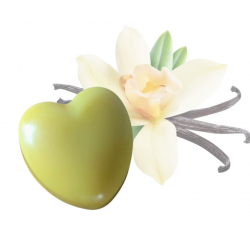 Coeur Vanille des îles
